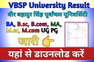 vbspu result