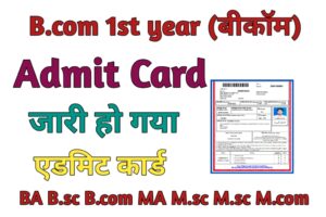 B.com 1st Year Admit Card Download 2024 : बीकॉम फर्स्ट ईयर एडमिट कार्ड 2024 कैसे डाउनलोड करे
