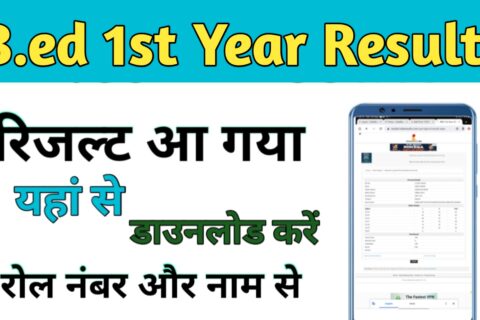 B.ed 1st Year Result Released 2023:-