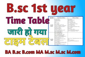 B.sc 1st year Time Table