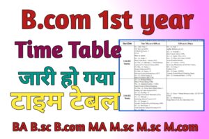 Bcom 1st year Time Table 2024 चेक करे (बीकॉम 1st ईयर टाइम टेबल) B.com Date Sheet (MAIN)