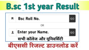 B.sc 1st year Result 2024