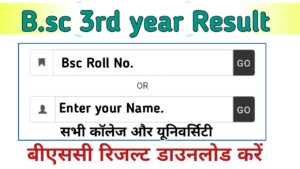 B.sc 3rd year Result 2024