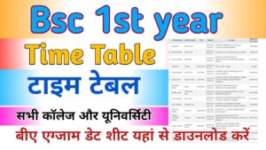 Bsc 1st Year Time Table 2024