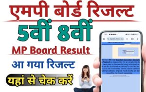 MP Board Result Class 5th 8th, (एमपी बोर्ड 5वीं 8वीं रिजल्ट 2024) MPBSE Result चेक करें - DownloadResult.in