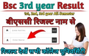 Bsc 3rd year Result 2024 Name Wise