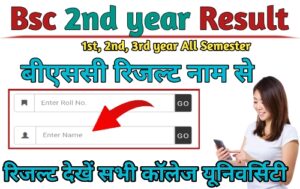 Bsc 2nd year Result 2024 Name Wise