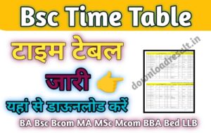 Bsc Time Table 2024