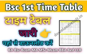 Bsc 1st year Time Table 2024 Download (बीएससी टाइम टेबल) B.sc Exam Time Table 2024> downloadresult