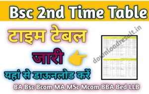 Bsc 2nd year Time Table 2024