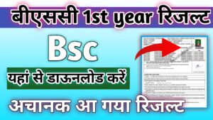 BSc 1st Year Result 2024 घोषित - (बीएससी परिणाम 2024) Bsc Result 2024, बीएबीएससी रिजल्ट जारी