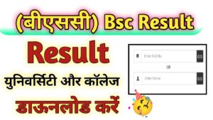 BSc Result 2024