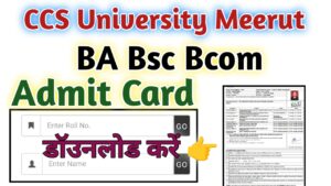 CCS University BA Bsc Bcom Admit Card 2024