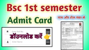 Bsc 1st semester Admit Card 2024