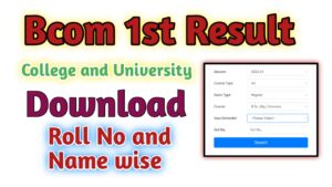 B.com 1st year Result 2024 (बीकॉम रिजल्ट 2024) Bcom Result 2024, बीकॉम रिजल्ट जारी (MAIN) downloadresult.in