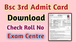 Bsc 3rd year Admit Card 2024 Download Link