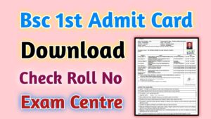 BSc 1st Year Admit Card 2024 Download Link