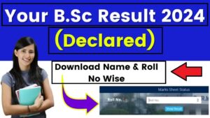 BU Jhansi BSC Result 2024/BU Jhansi Result 2024 BSC Bunde lkhand University Result