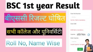 Bsc 1st year Result 2024: (बीएससी रिजल्ट 2024) बीएससी रिजल्ट जारी जल्दी यहां से चेक करे.