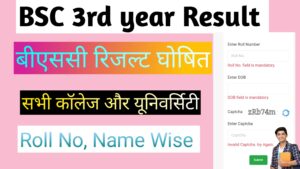 Bsc 3rd year Result 2024: (बीएससी रिजल्ट 2024) बीएससी थर्ड रिजल्ट जारी जल्दी यहां से चेक करे.