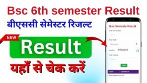 Bsc 6th semester Result 2024