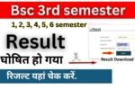 BSc 3rd Semester Result 2026