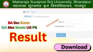 Brij University Result 2025