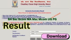 CCS University Result 2025