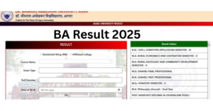 DBRAU BA Result 2025