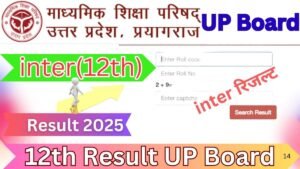 12 Class UP Board Result