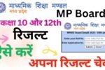 MP Board Result 2025