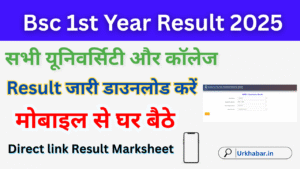 Bsc 1st year Result 2025, (बीएससी प्रथम वर्ष का परिणाम 2025) जारी, यहां डाउनलोड करें