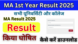MA 1st year Result 2025, (एमए प्रथम वर्ष का परिणाम 2025) जारी किया, जल्दी यहां डाउनलोड करें